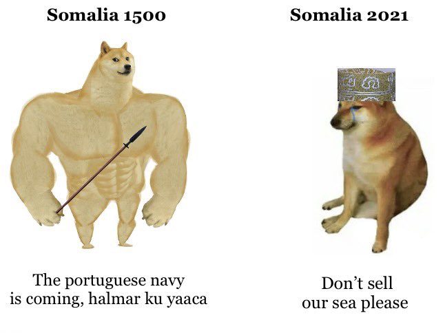 E2eJpg6WYAAmJ4c.jpeg