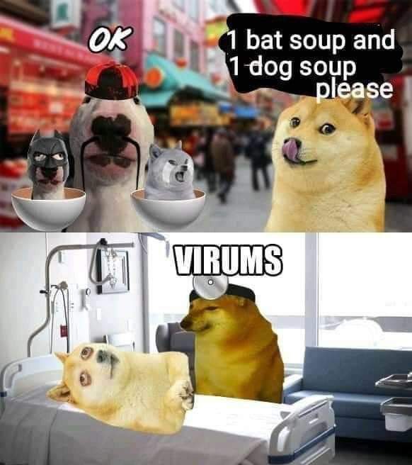 E3DA2FD4-83B6-432D-A3F0-257A55582DDA.jpeg