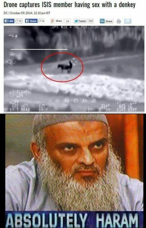 ee2.jpg