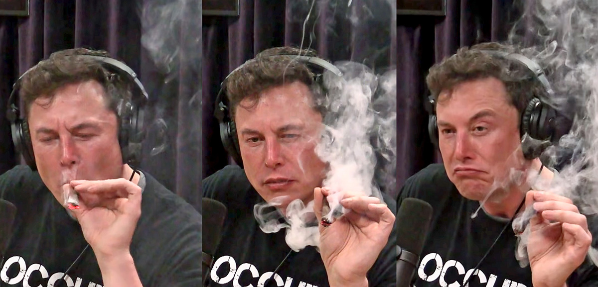 elon1.jpg