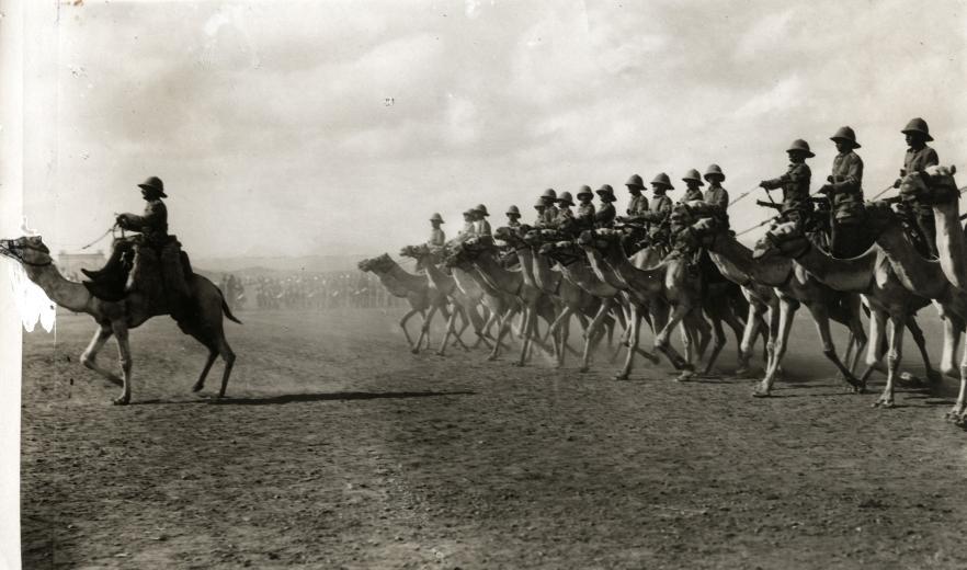 Engelse kameelruiters - English camel troopers.jpg