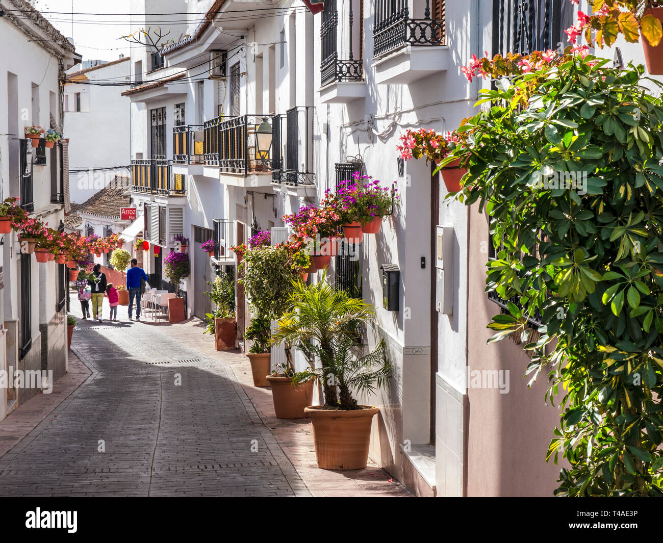 estepona-old-town-with-white-washed-buildings-and-traditional-potted-geraniums-family-explorin...jpg