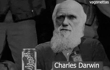 evolution.gif