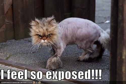Exposed.jpg