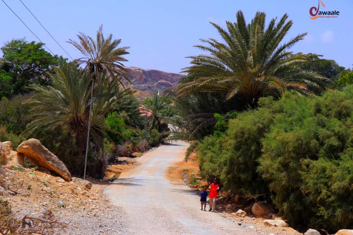 Eyl road.jpeg