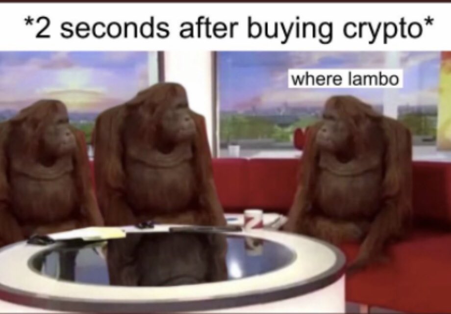EzQxJLAVEAYK-4X.jpg