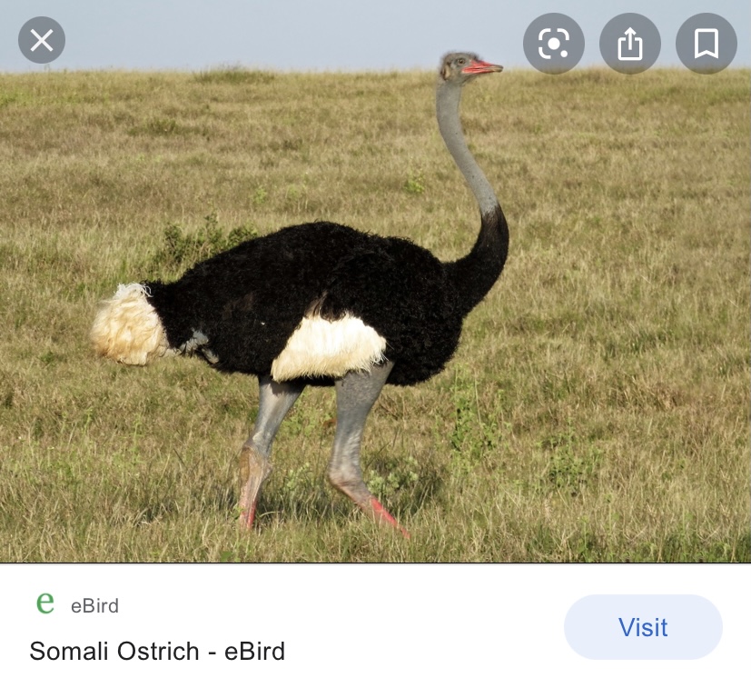 F001283F-3751-48E9-A5D6-D7B1811E77D9.jpeg