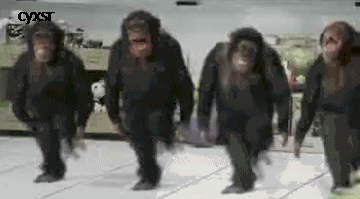 F1E6DC1F-B954-4009-AD53-E61E2B4EA458.gif