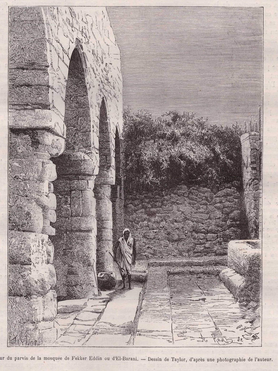 fadin2b (1).jpg