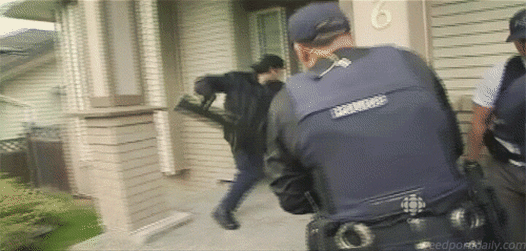 Police много денег. Гифы задержания полиция. Гифы задержания полиция США.