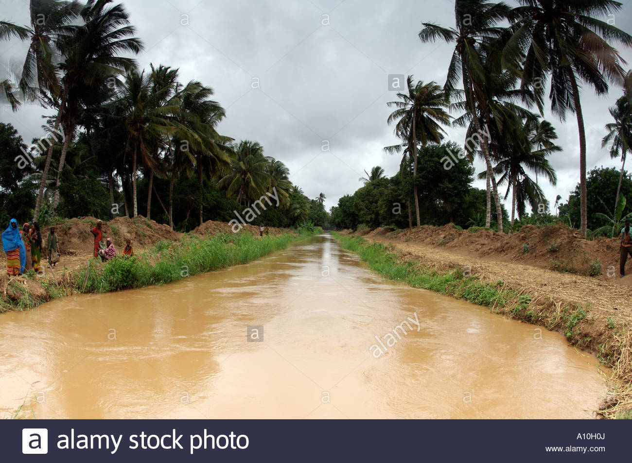 farm-worker-planting-crops-in-lower-shabelle-southern-somalia-A10H0J.jpg