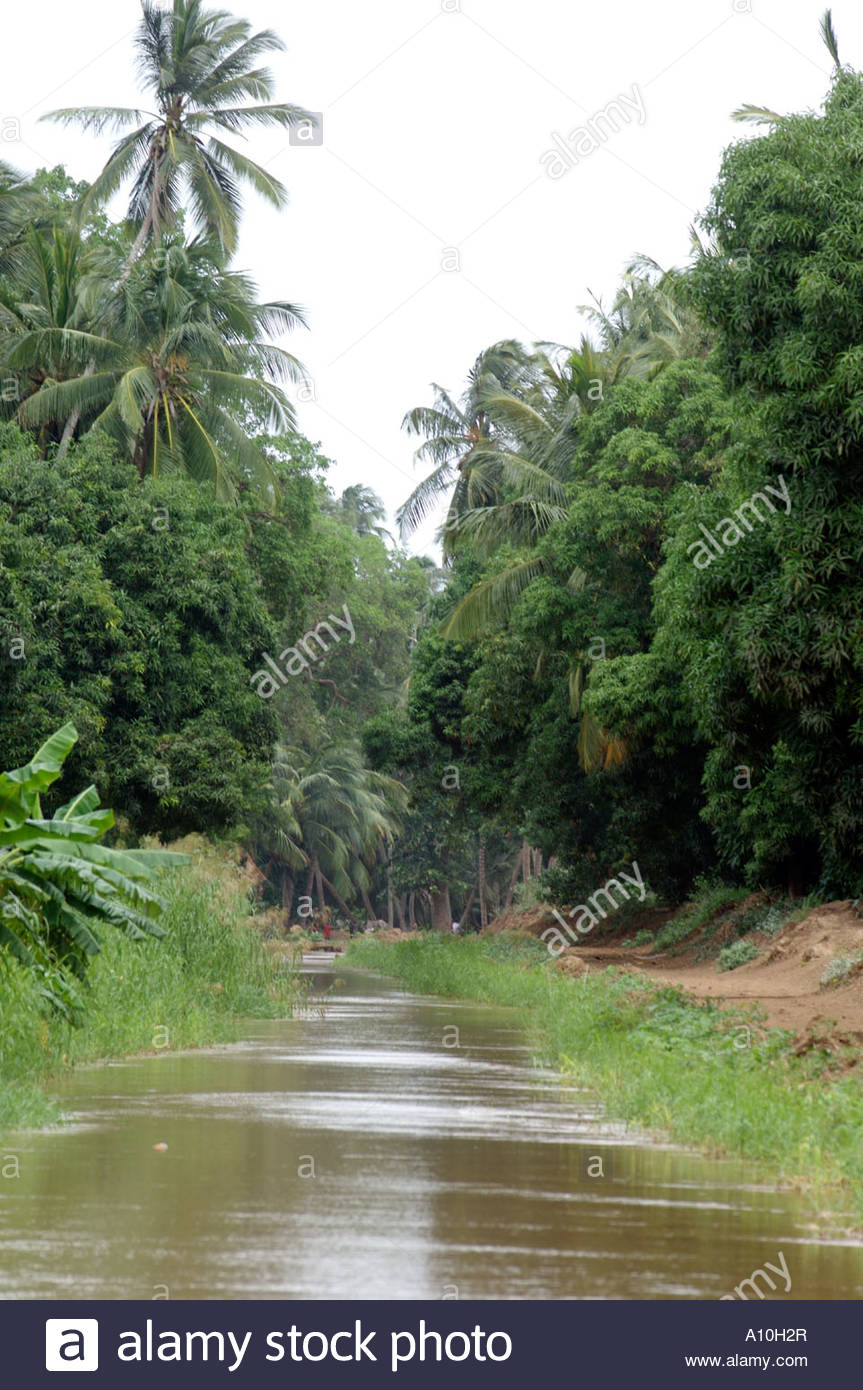 farm-worker-planting-crops-in-lower-shabelle-southern-somalia-A10H2R.jpg