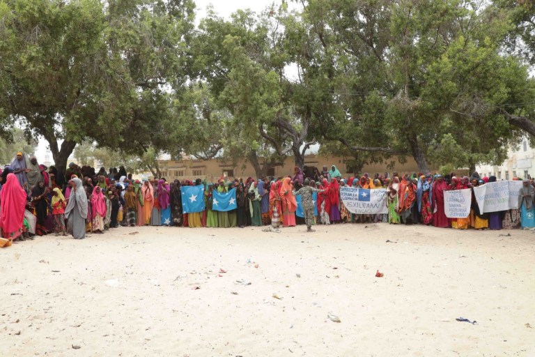 farmajo-2.jpg