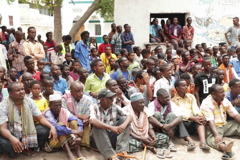 farmajo-5.jpg