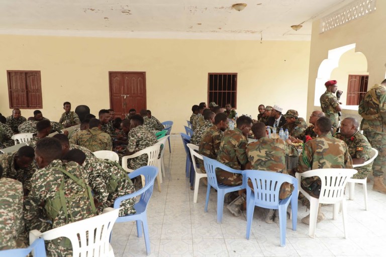 farmajo-9.jpg