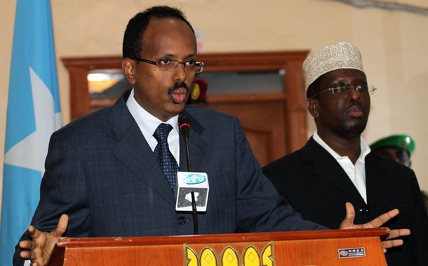 Farmajo1.jpg