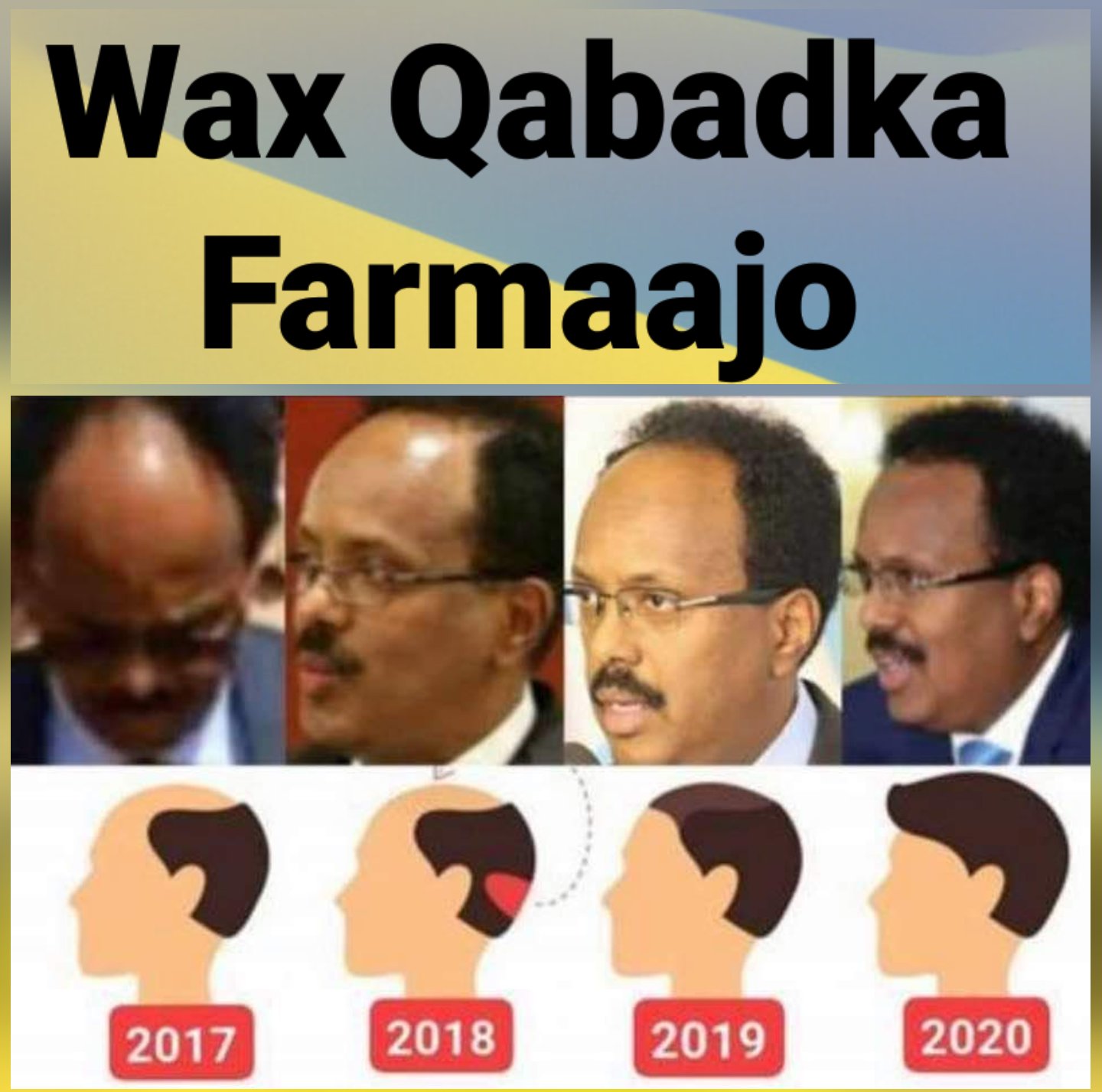 Farmajo's progress.jpg