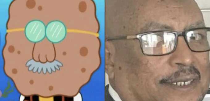 faysaal sponge.jpg
