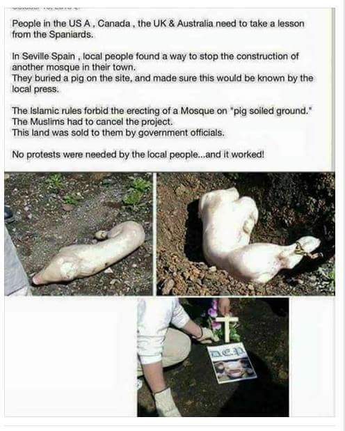FB_IMG_1501010111694.jpg