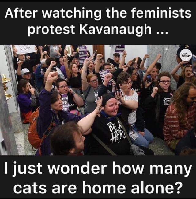 FB_IMG_1538867267712.jpg