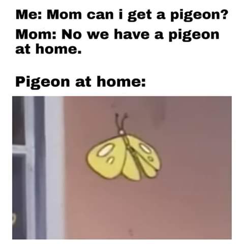 FB_IMG_1555711173604.jpg