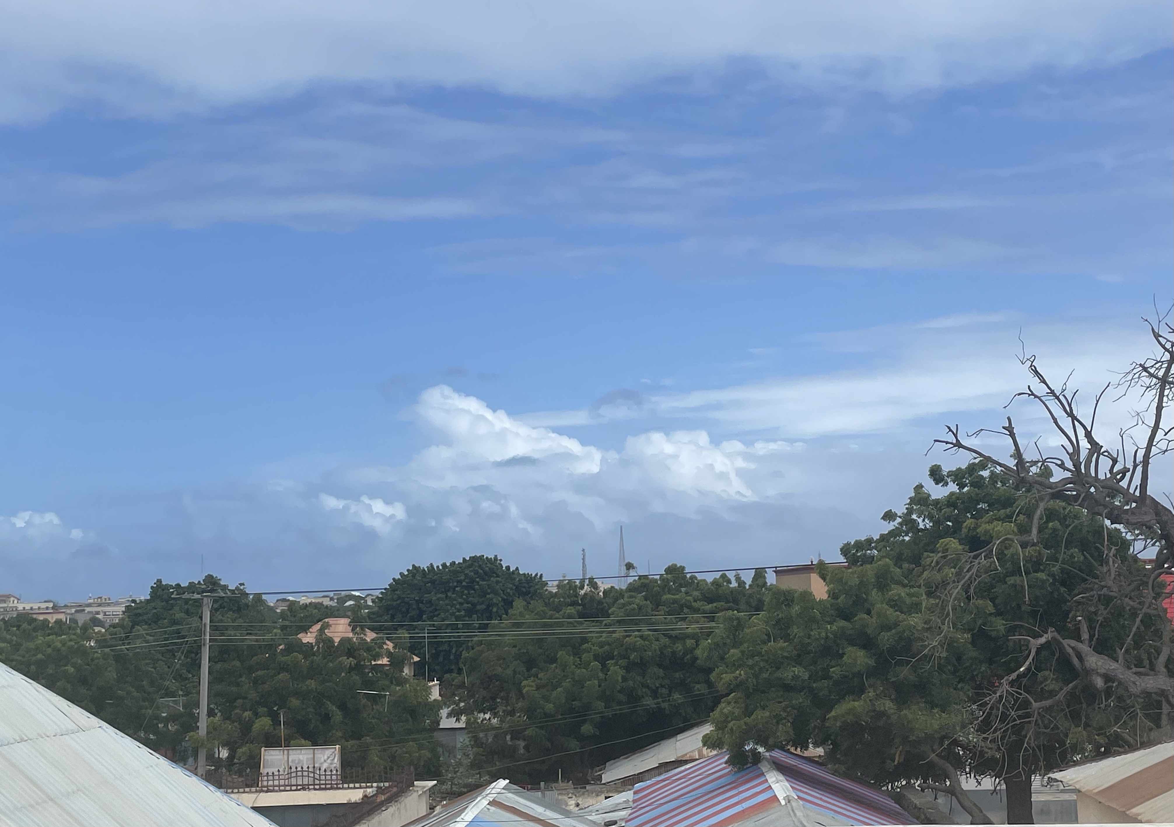 FDFB757E-AC2F-4975-B1BF-985DE589BC79.jpeg