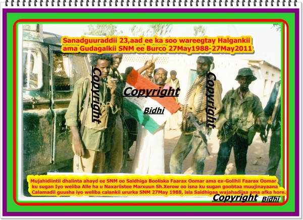 FE7CDE2C-E0E6-4BB5-942A-14D2289D3216.jpeg