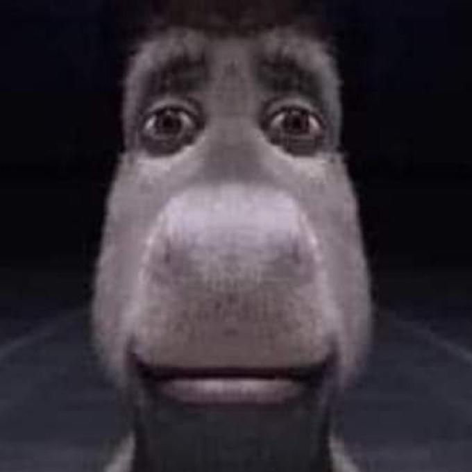 fetchimage.jpeg-1.jpg