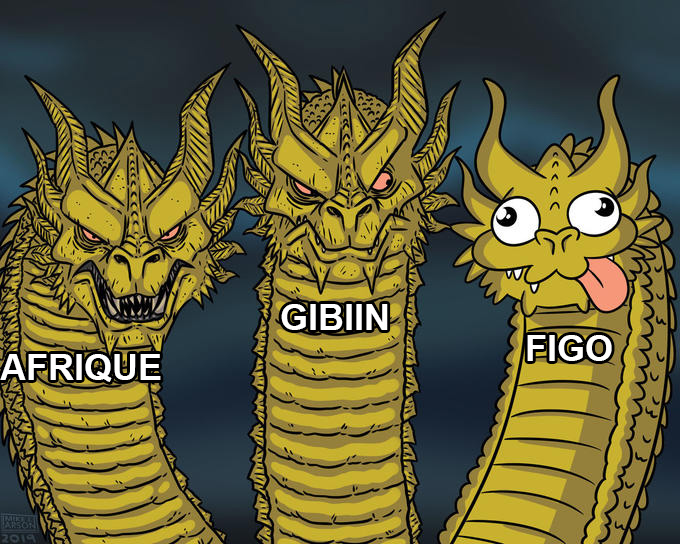 Figo soft.jpg