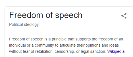 FireShot Capture 007 - Freedom of speech - Google Search - www.google.com.png