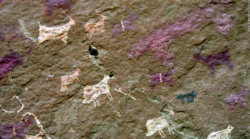 First-aid-needed-for-5000-year-old-S[7].png
