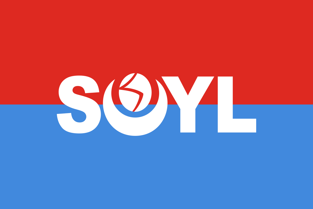 Flag_of_the_Somali_Youth_League.svg (1).png