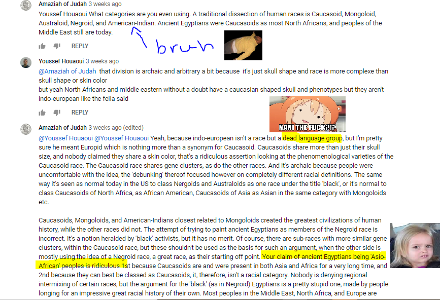 fool 1.PNG