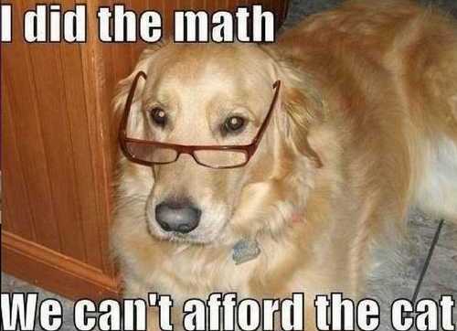 Funny-dog-memes-1.jpeg
