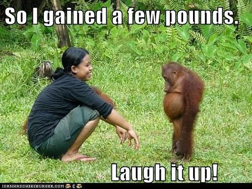 funny-weight-gain.jpg