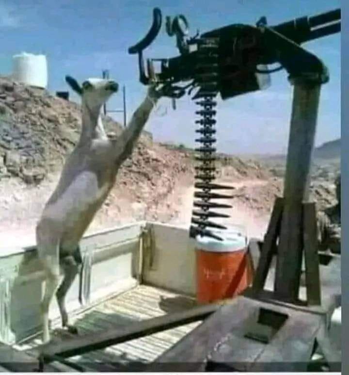 Gaandhari.jpg