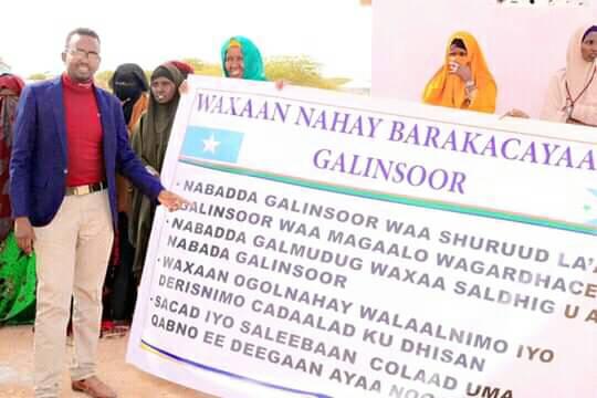 Galinsoor.jpg