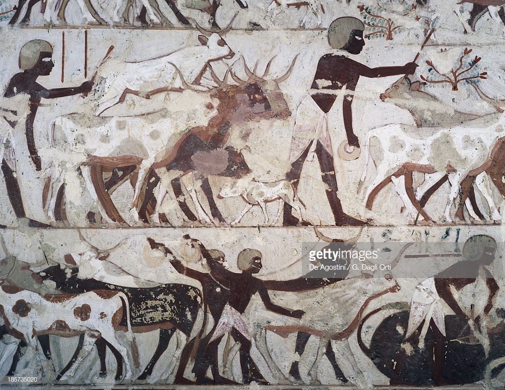 gettyimages-185735020-1024x1024.jpg