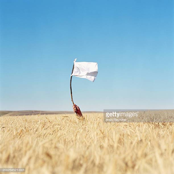 gettyimages-200254521-001-612x612.jpg