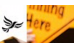 ghghgh.PNG