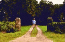 GIFs201882642245.gif