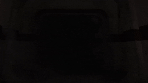 giphy (1).gif