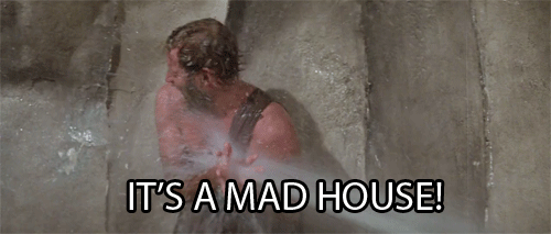 giphy-1.gif