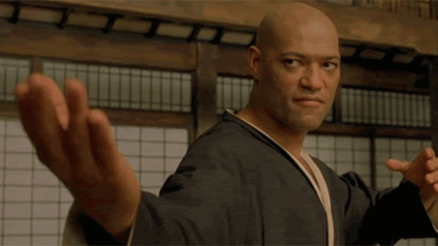 giphy (1).gif