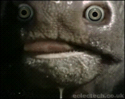 giphy (10).gif