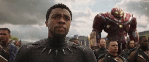 giphy (13).gif