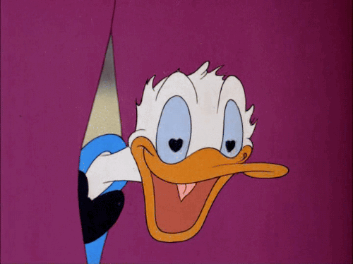 giphy-14.gif