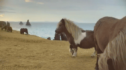 giphy (16).gif