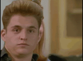 giphy (19).gif