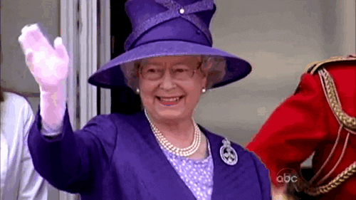 giphy-2.gif